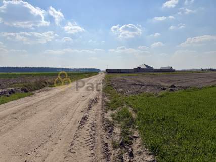 Grunt rolny/leśny 1,26 ha - Rawicz, Szymanowo