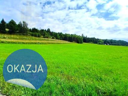 Atrakcyjna działka rekreacyjna - dobra inwestycja