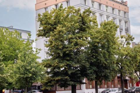 STARY MOKOTÓWKAWALERKA 2500zł 480zł czynsz