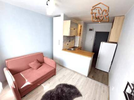 Studio, komórka, pet-friendly - Herberta 2