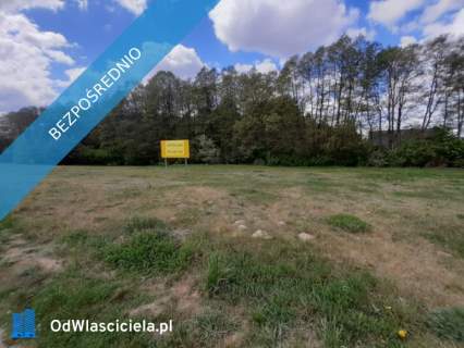 Murowana Goślina Działka 5913 m Usługi Zabudowa Mie