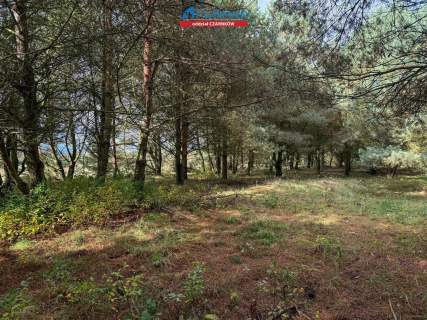 Działka budowlana na sprzedaż, 8200 m2, Rychlik
