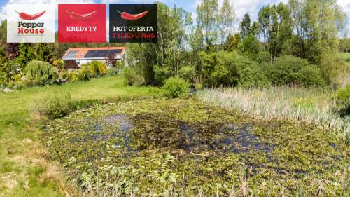 Piękna działka z MPZP, obok jeziora i lasu 