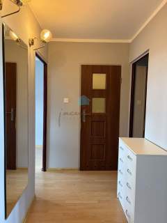 Mieszkanie do wynajęcia, 48 m2, Gniezno