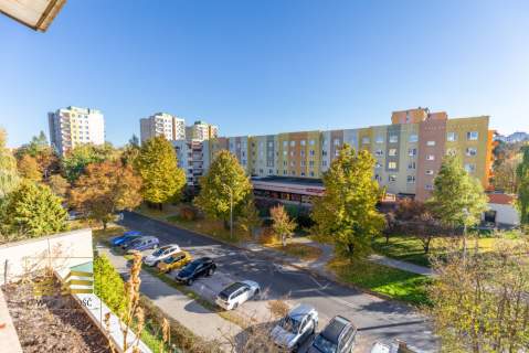 3 pokoje, balkon, piwnica