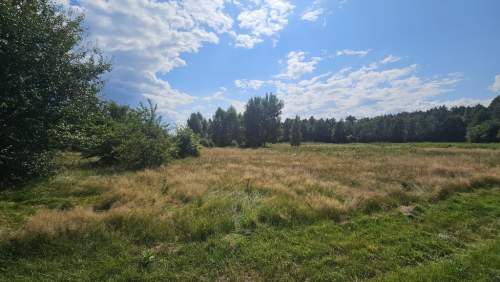 Działka,Luta, Włodawa, 1,5 ha, budowlana, urokliwa
