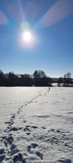 Piękna działka rolno-budowlana, Żminne, Parczew.