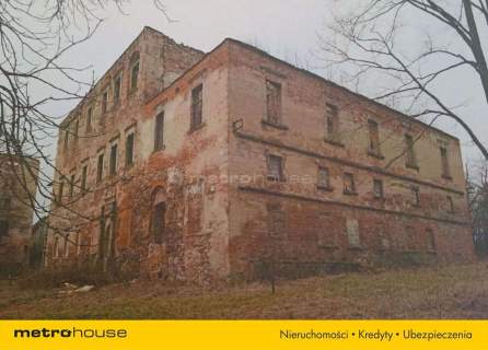 Ruiny Willi i Pałacu w Starej Kraśnicy 2,8 ha