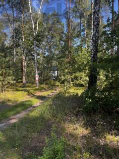 Leśna działka na Wydmach Międzyborowskich 2221 m2 - bez prowizji