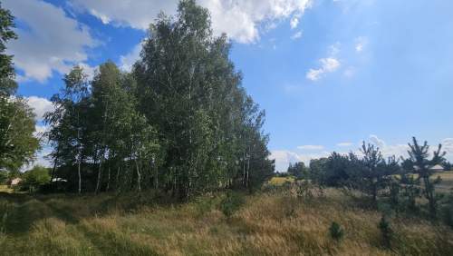 Działka, Wólka Wytycka, 10 ar, budowlana