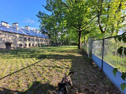Obiekt na sprzedaż, 5600 m2, Wypychów