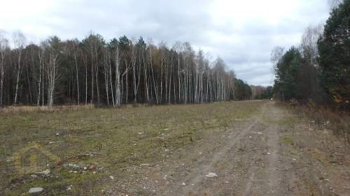 Działka budowlana w gminie Wiazowna