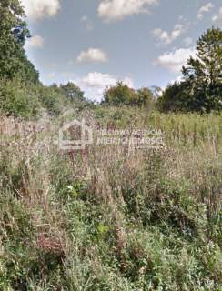 Działka rolna 3000 m2 Bychowo/Gniewino