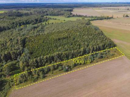 Działka rolna na sprzedaż, 5000 m2, Białogórzyno