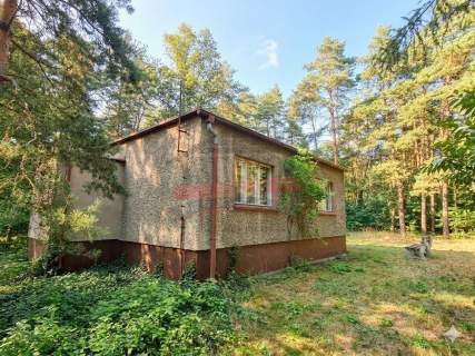 STANISZCZE MAŁE/Dom pod lasem UNIKALNA OFERTA