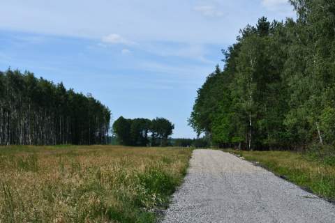 Działki 10a pod zabudowę pod lasem- Widełka