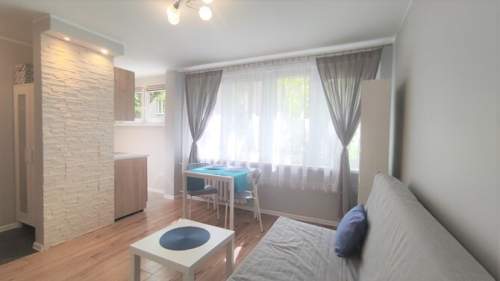 Niemcewicza 14, Górna, studio pet friendly