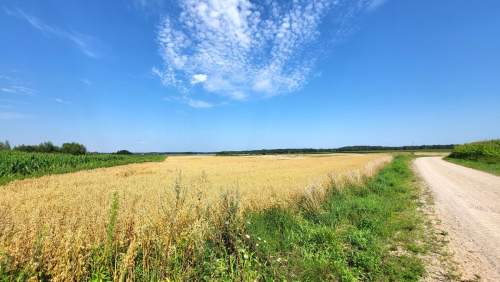WYJĄTKOWA NIERUCHOMOŚĆ Z WŁASNĄ LINIĄ BRZEGOWĄ JEZIORA