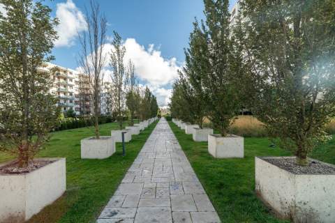 Kawalerka do wynajęcia - Letnica