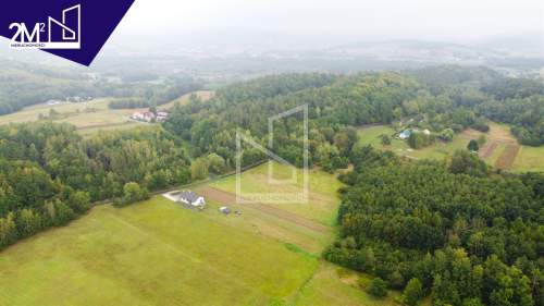 31 arów WZ Bachórzec