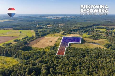 Działka leśna pow. 29.600 m , Bukowina Sycowska
