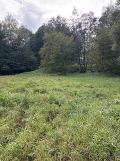 Działka budowlana na sprzedaż, 2510 m2, Skrzyszów