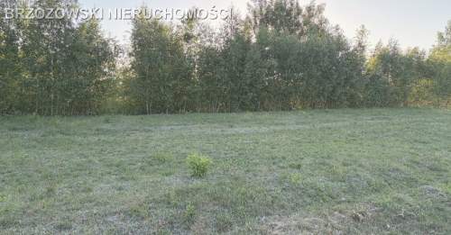 Rusiec, 1000 m2, MPZP mieszkaniowa