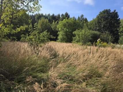 Dom na sprzedaż, 55 m2, Dąbrowa Górnicza