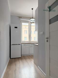 Na wynajem/Żeromskiego/2 pok., balkon