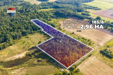 Działka leśna pow. 29.600 m , Bukowina Sycowska