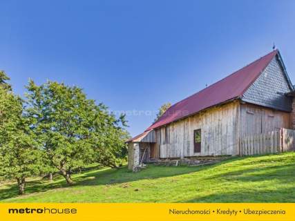 Siedlisko w Izerach - Krobica/Kotlina k.Świeradowa