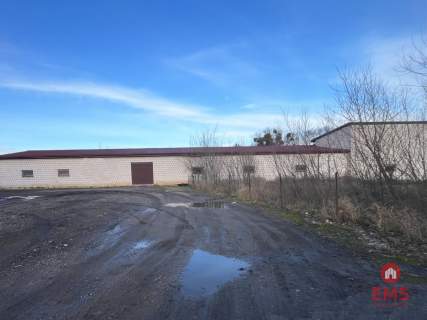 Budynek do wynajęcia 260-520 m2.