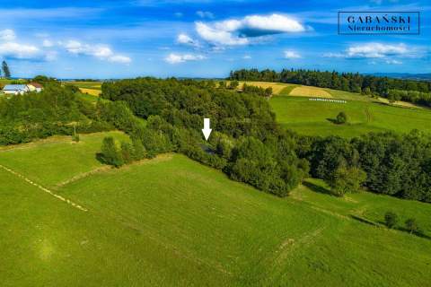 DREWNIANY DOM PO GRUNTOWNYM REMONCIE NA 1,35 HA -