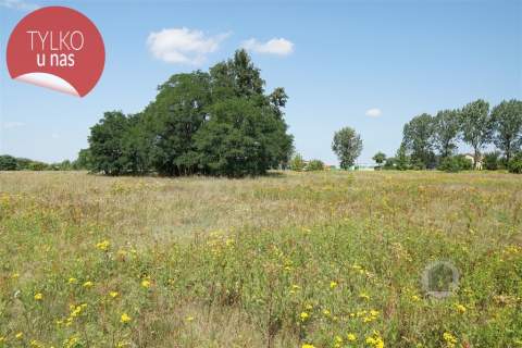 Działka nr 108/63, Deszczno, WZ, możliwe 1750 m2