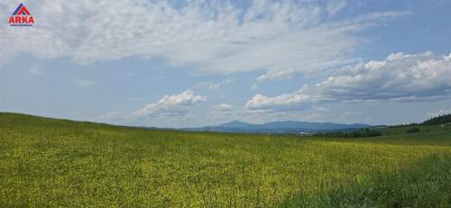 Widok na Beskid, Gorce i Babią Górę Las 2 domy