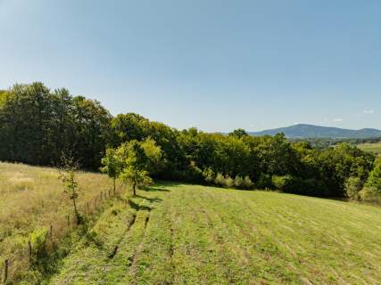 Działka rolno-leśna, 1,56 ha, Sadek, Jodłownik
