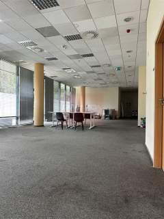 Nieruchomość komercyjna do wynajęcia, 247,57 m2, Warszawa