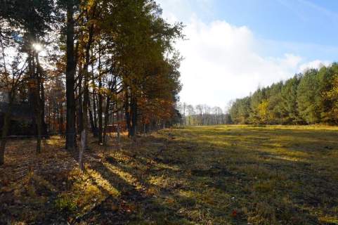 Działka z linią brzegową jeziora