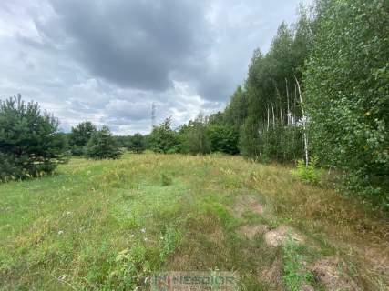 Działka budowlana w Gołąbku 1514m