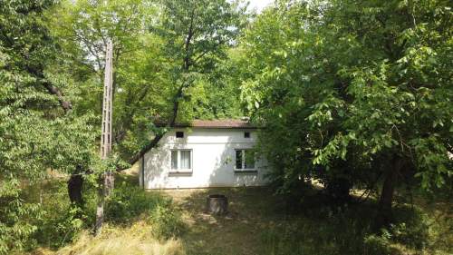 Działka 1,13 ha starodrzew 1,5 godz. od Warszawy