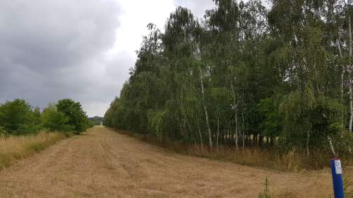 Działka budowlana 4000 m