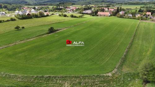 Działka budowlana na sprzedaż, 3000 m2, Modliszów