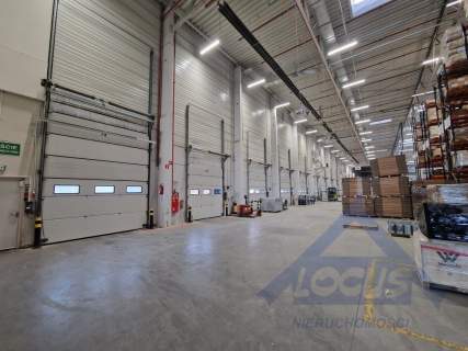Magazyn Podnajem od 2500 m2