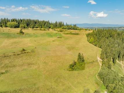 Działka rolna z widokiem na Tatry, Biały Dunajec