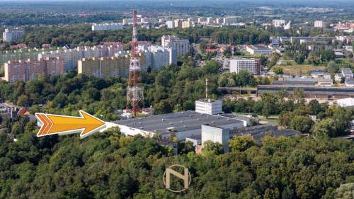 Obiekt do wynajęcia, 386 m2, Gorzów Wielkopolski