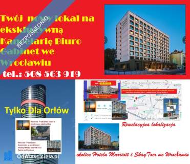 tylko teraz Wrocław Steinhard Inter-Conti Group sprzEdaż K