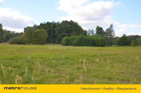 Działka siedliskowa na sprzedaż, 5400 m2, Dąbrówka