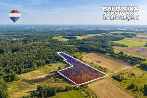 Działka leśna pow. 29.600 m , Bukowina Sycowska