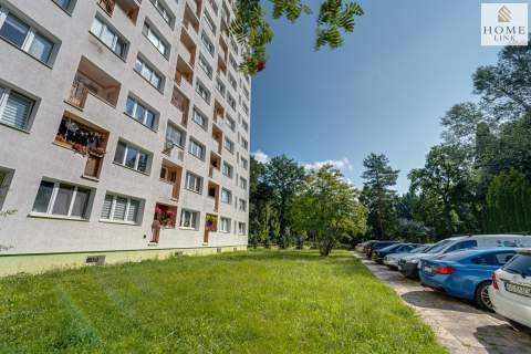 3-pokojowe mieszkanie z widokiem na korony drzew.