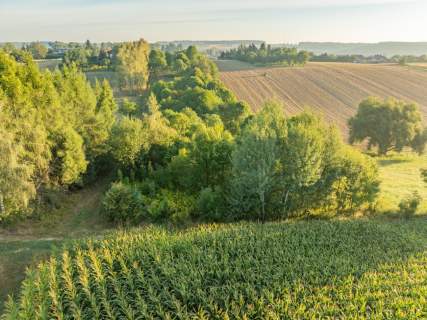 80 arów pozwolenie na budowę 2 domów